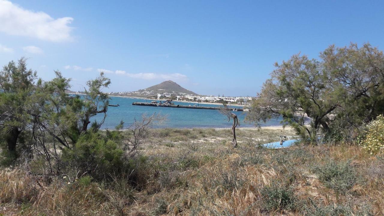 chez irene sweet pension Naxos City Extérieur photo