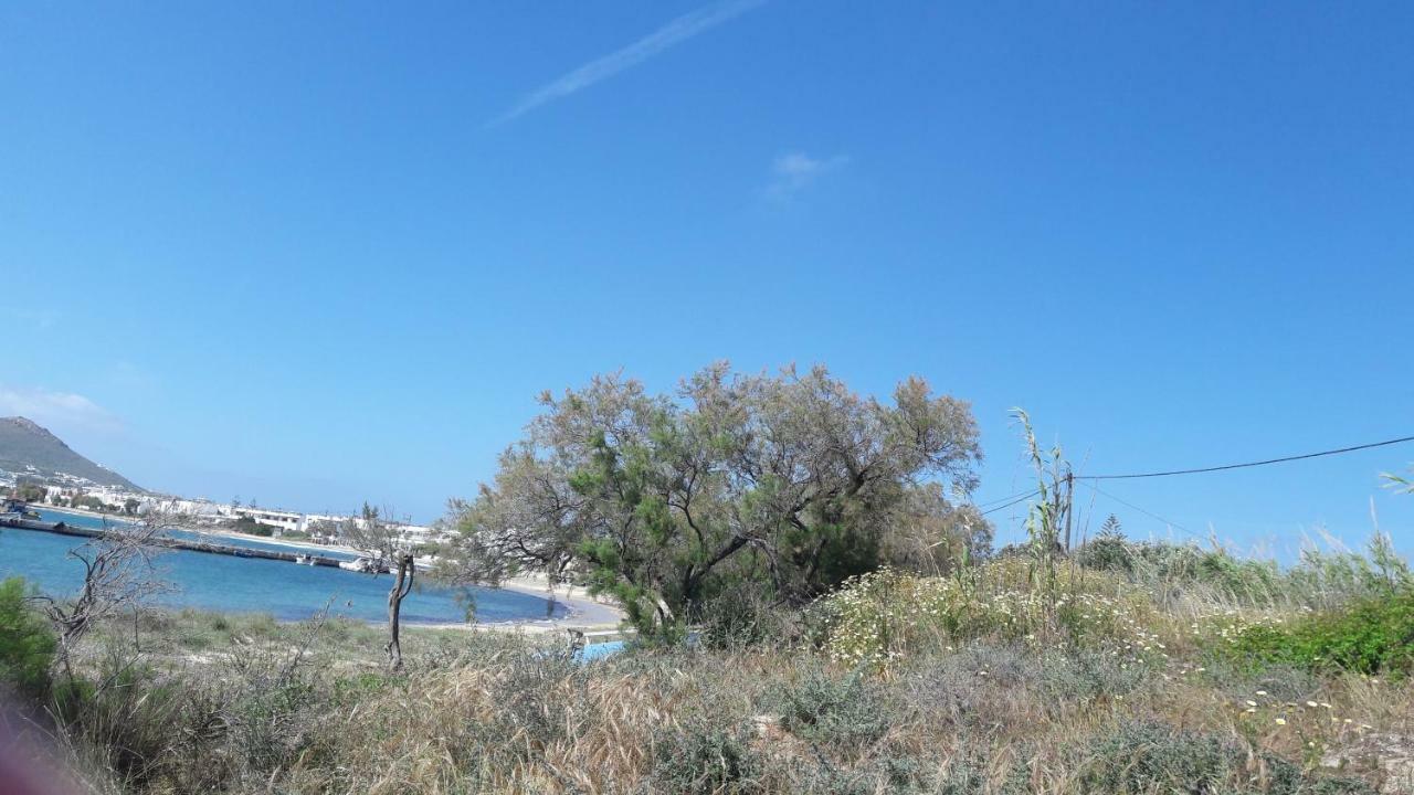 chez irene sweet pension Naxos City Extérieur photo